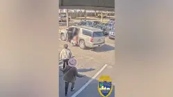 Good Samaritans save Florida mother, two small children from attempted kidnapper in dramatic video