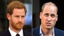 Prince William won't welcome Prince Harry back despite new plea for reconciliation: expert