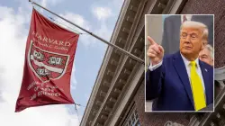 Trump administration plans to pull $1 billion in funding from Harvard amid clash with university: report